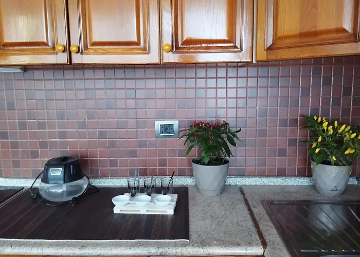 Apartament Bea City Center *