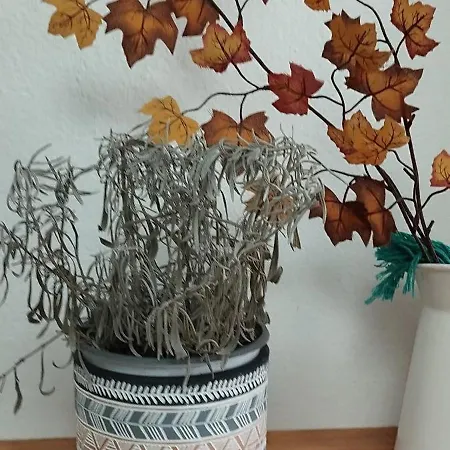 Bea City Center 티라나